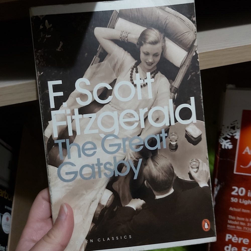🤯2/$15 The Great Gatsby by F Scott Fitzgerald paperback book